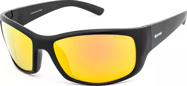 Black Plastic Sunglasses