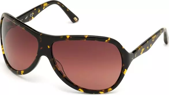 Brown Plastic Sunglasses