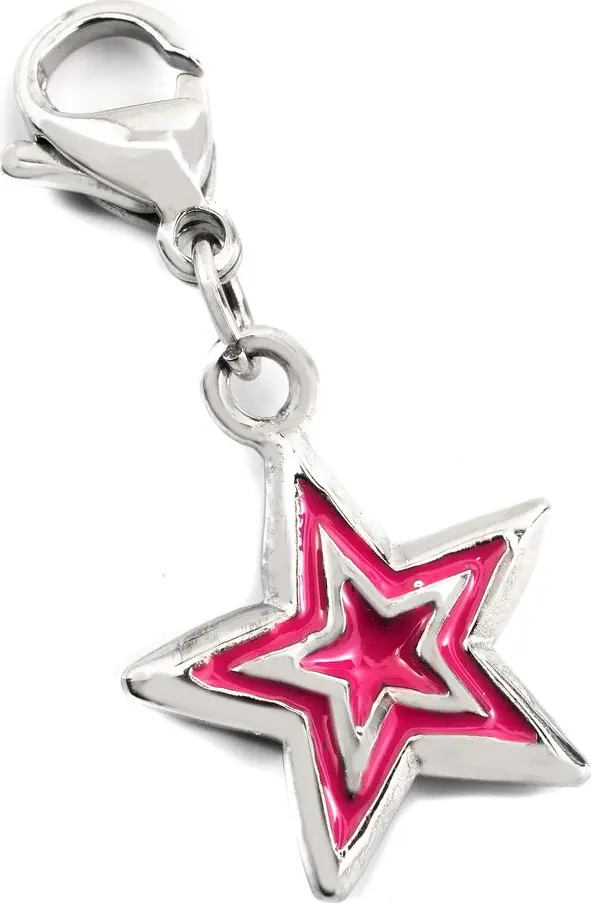 Bicolor Stainless Steel Broch