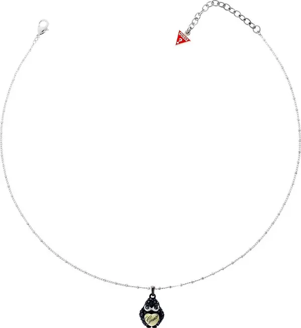 Transparent Stainless Steel Necklace