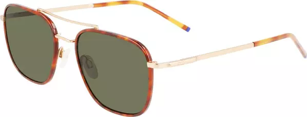 Brown Titanium Sunglasses