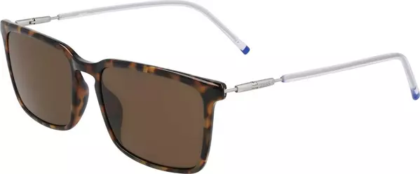 Brown Injected Sunglasses
