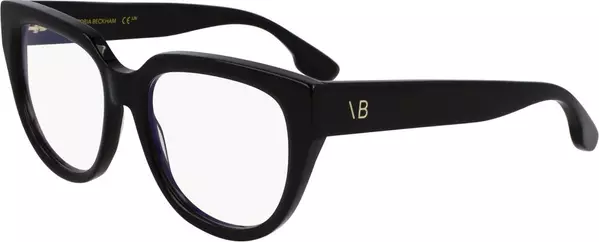 Black Acetate Glasses (Frames)