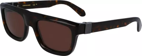 Brown Acetate Sunglasses