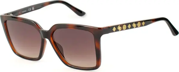 Brown Resin Sunglasses