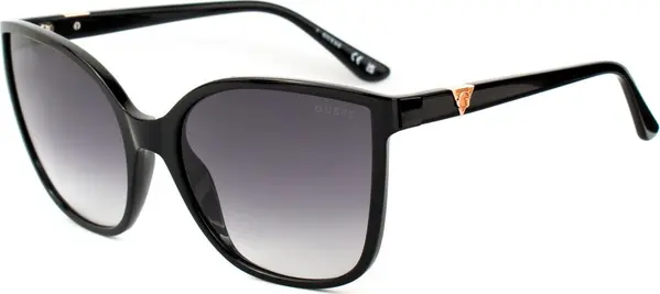 Black Resin Sunglasses