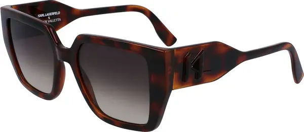 Brown Injected Sunglasses