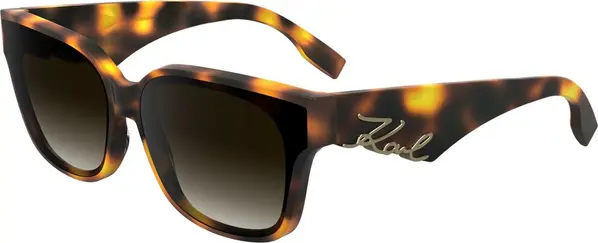 Brown Acetate Sunglasses