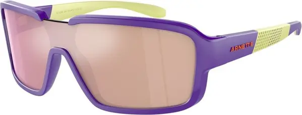 Purple Resin Sunglasses