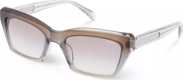 Brown Resin Sunglasses