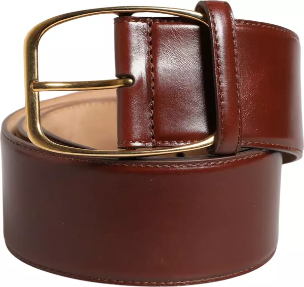 Brown Leather Waist Gold Metal Buckle Belt