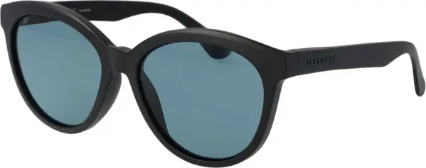 Black Plastic Sunglasses
