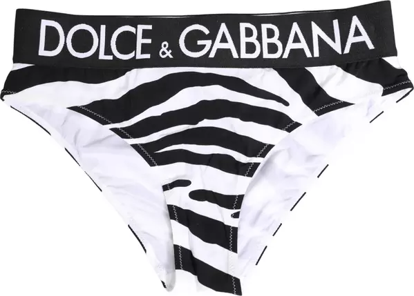 Black White Zebra Print Brief Panty Underwear
