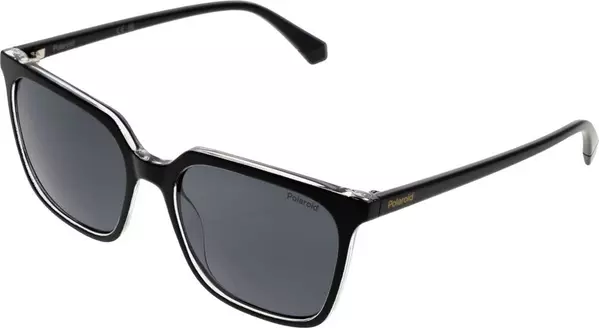 Black Plastic Sunglasses