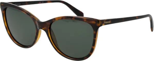 Brown Plastic Sunglasses