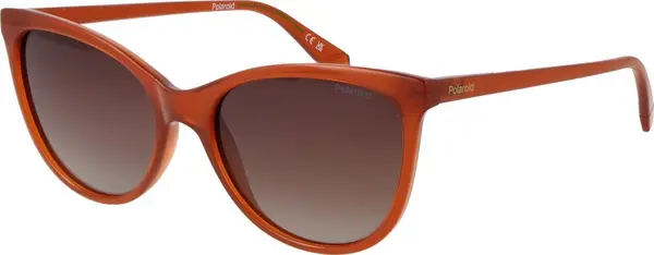 Brown Plastic Sunglasses