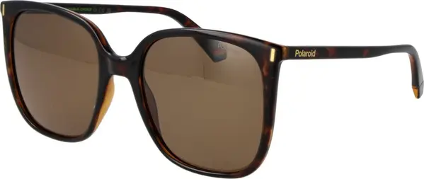 Brown Plastic Sunglasses