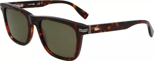 Brown Acetate Sunglasses