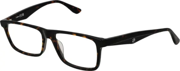 Brown Plastic Glasses (Frames)