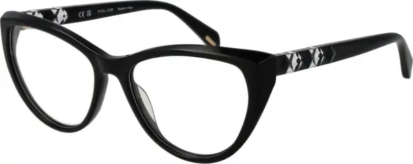 Black Plastic Glasses (Frames)