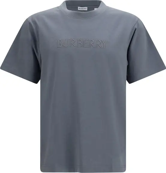 Gray Cotton T-Shirt