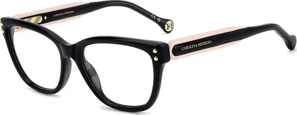 Black Plastic Glasses (Frames)