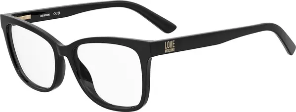 Black Plastic Glasses (Frames)