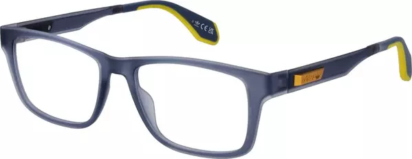 Blue Plastic Glasses (Frames)