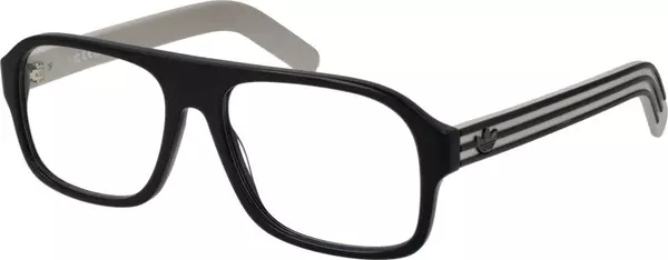 Black Plastic Glasses (Frames)