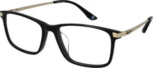 Black Plastic Glasses (Frames)