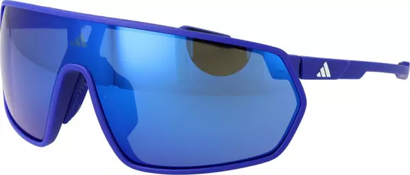 Blue Plastic Sunglasses