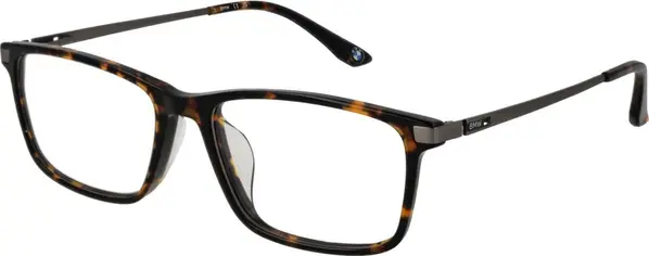 Brown Titanium Glasses (Frames)