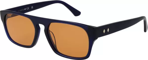 Blue Plastic Sunglasses