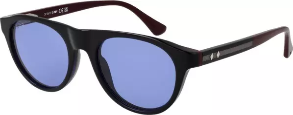 Blue Plastic Sunglasses