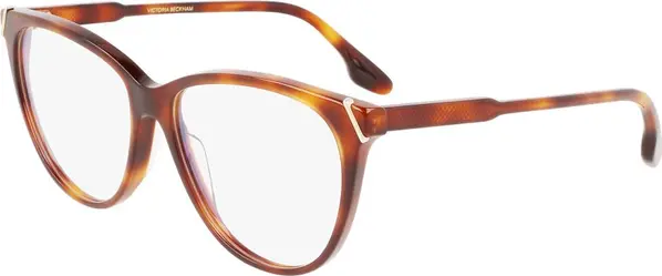 Brown Plastic Glasses (Frames)