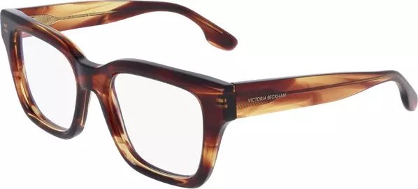 Brown Plastic Glasses (Frames)