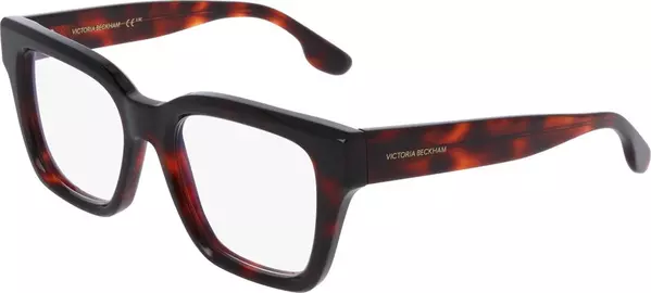 Brown Plastic Glasses (Frames)