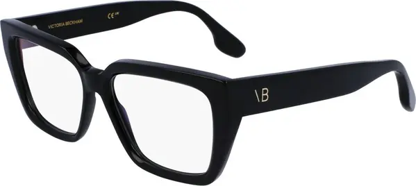 Black Plastic Glasses (Frames)