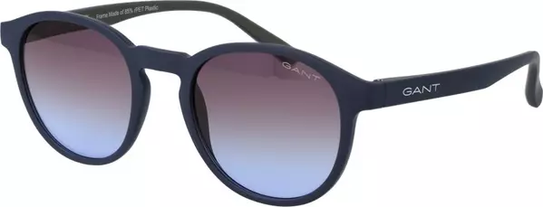 Blue Plastic Sunglasses