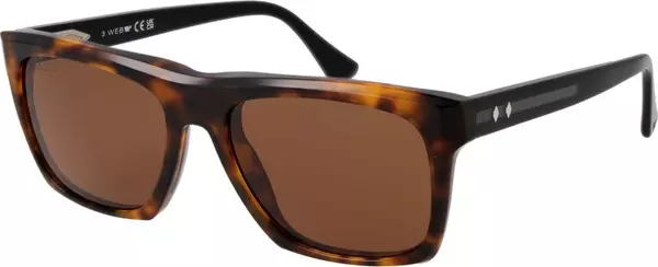Brown Acetate Sunglasses