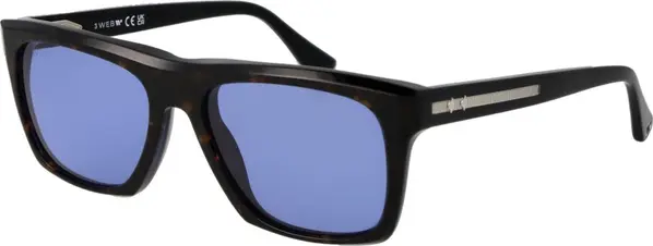 Brown Acetate Sunglasses