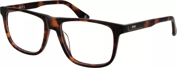 Brown Plastic Glasses (Frames)