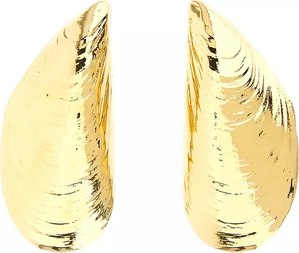 Gold Metal Earrings