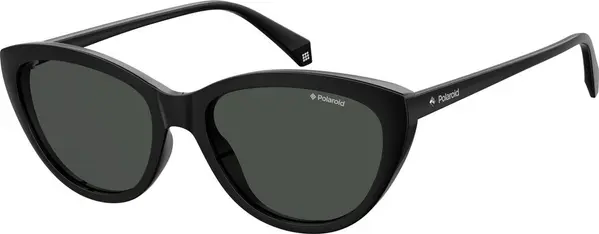 Black Plastic Sunglasses