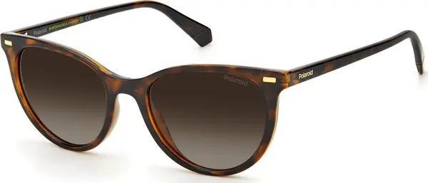 Brown Resin Sunglasses