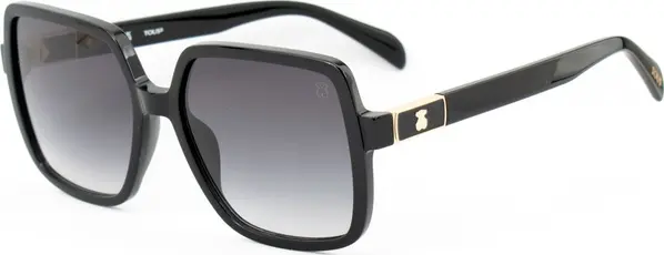 Black Acetate Sunglasses