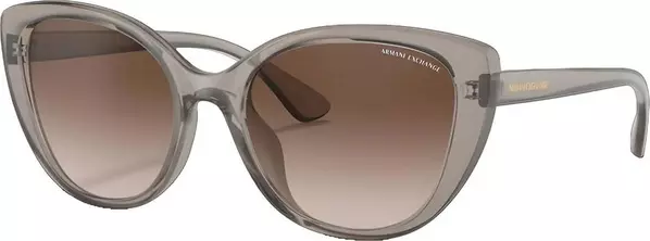 Brown Injected Sunglasses