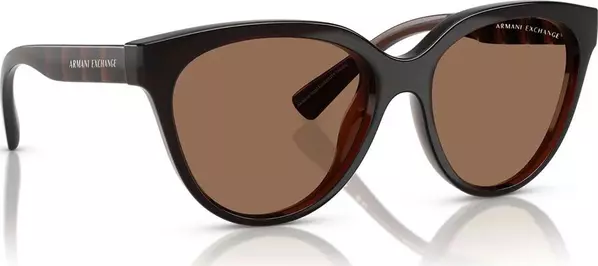 Brown Injected Sunglasses