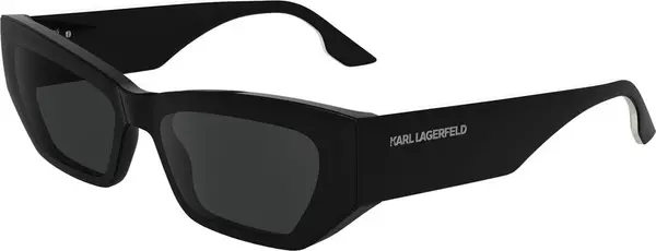 Black Injected Sunglasses
