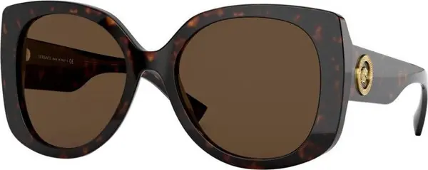Brown Acetate Sunglasses